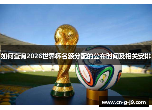 如何查询2026世界杯名额分配的公布时间及相关安排