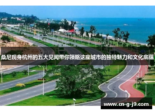 桑尼现身杭州的五大见闻带你领略这座城市的独特魅力和文化底蕴