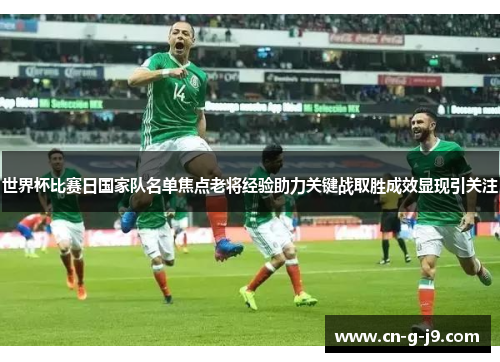 世界杯比赛日国家队名单焦点老将经验助力关键战取胜成效显现引关注