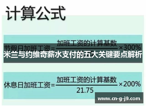 米兰与约维奇薪水支付的五大关键要点解析