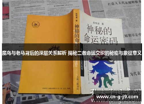 魔鸟与老马背后的深层关系解析 揭秘二者命运交织的秘密与象征意义 魔鸟与老马背后的深层关系解析 揭秘二者命运交织的秘密与象征意义